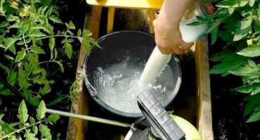 Použití syrovátky na zahradu a 5 receptů